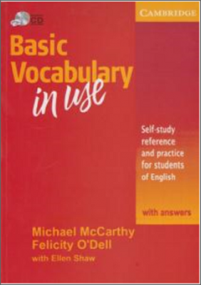 basic vocabulary in use