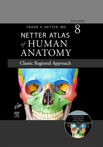 Atlas of Human Anatomy netter