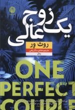 یک زوج عالی