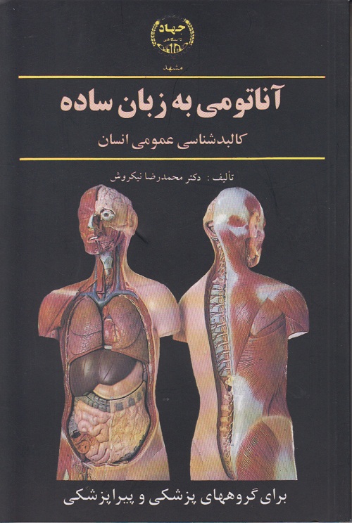 آناتومی به زبان ساده