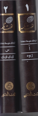 لغت نامه ( فرهنگ متوسط دهخدا) دوجلدی
