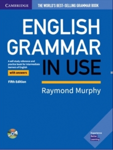 English grammar in use 5th edition