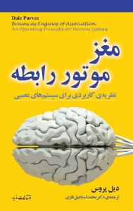 مغز موتور رابطه