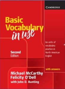 basic vocabulary in use
